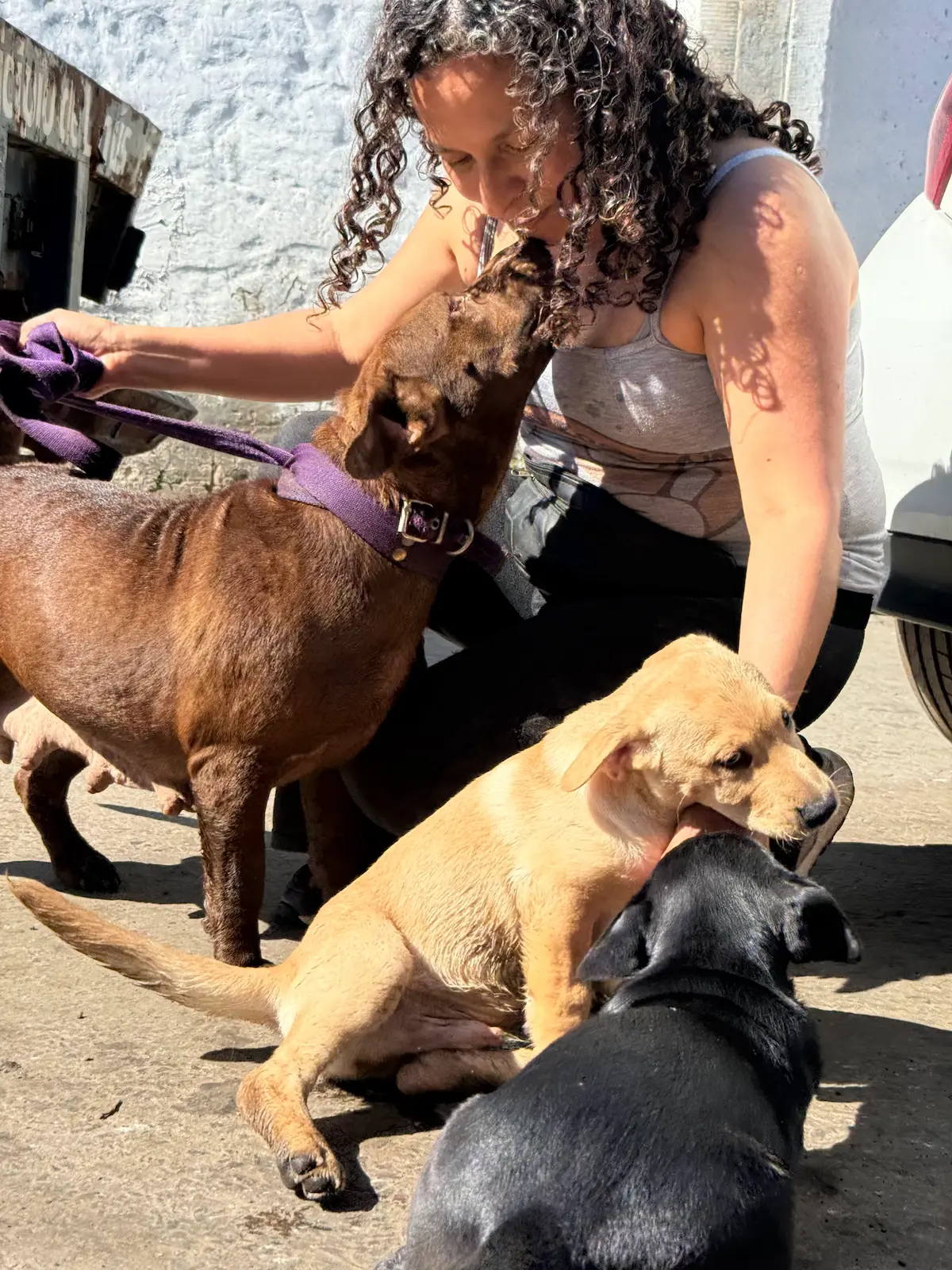 Voluntaria de APAS junto a perros rescatados en Lanús